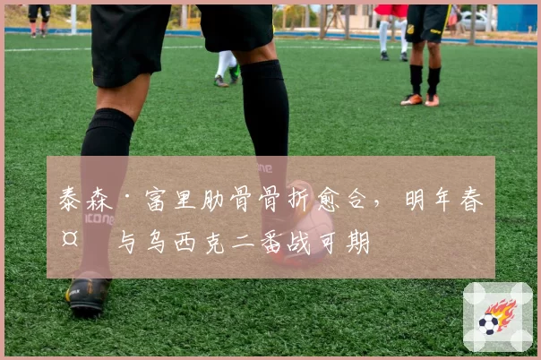 泰森·富里肋骨骨折愈合，明年春天与乌西克二番战可期