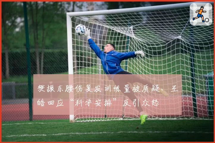 樊振东腰伤复发训练量被质疑，王皓回应“科学安排”反引众怒