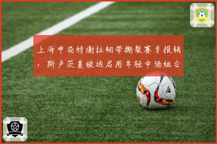 上海申花特谢拉韧带撕裂赛季报销，斯卢茨基被迫启用年轻中场组合